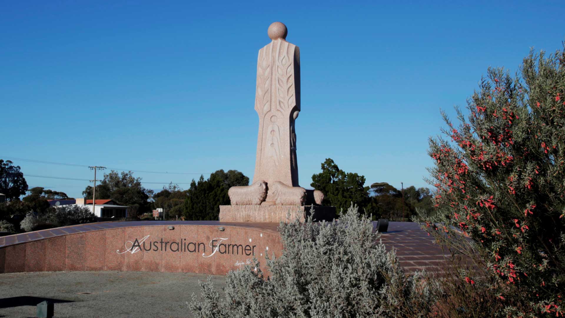 Abc News Interview With Tim Scholz Epcbh